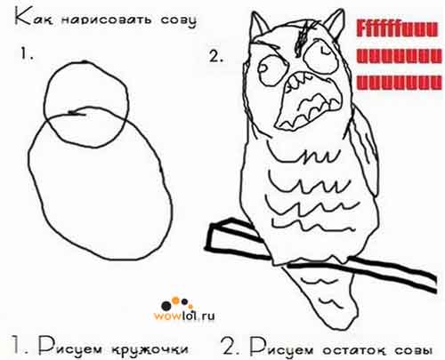 как нарисовать сову
