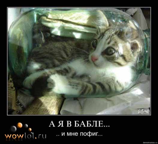 Котег в баббле