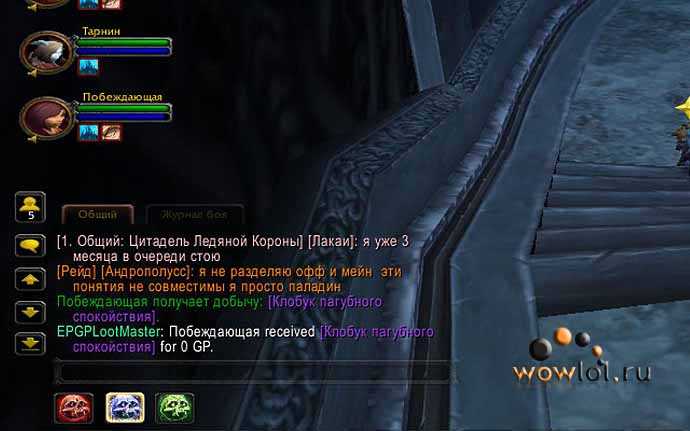 паладины жгут