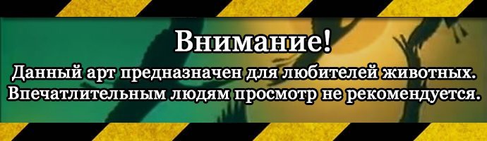 _описание картики_