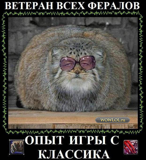 Ферал Ветеран!