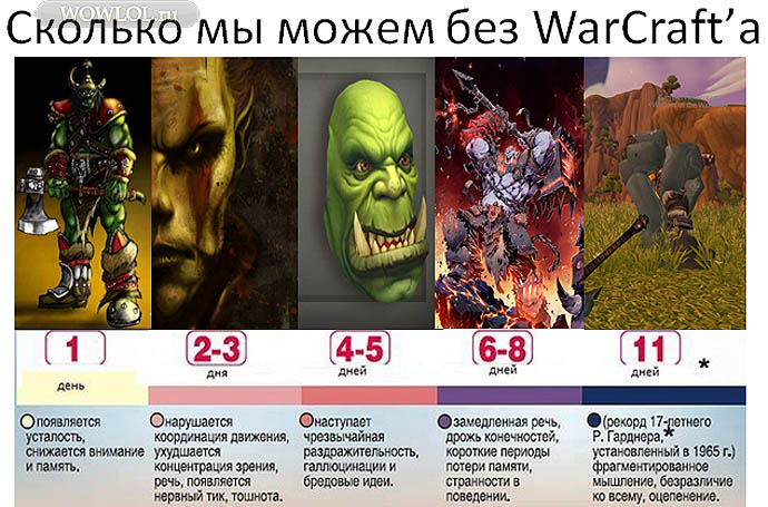 Сколько мы можем без WarCraft'a