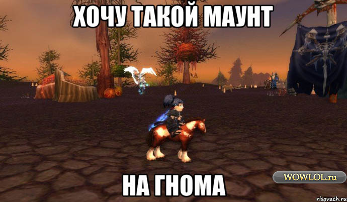 Почему на Дк гномов не такой маунт ?
