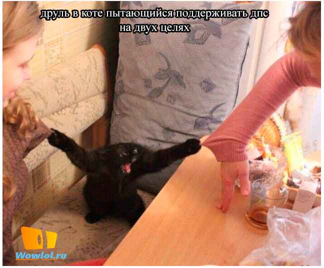сила зверя!