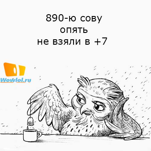 890-я сова