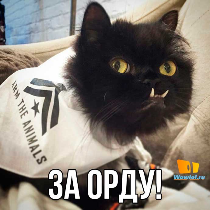 за орду!)