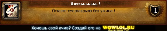 231040.jpg