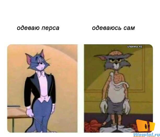 одежка