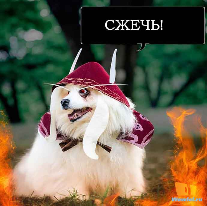 СЖЕЧЬ